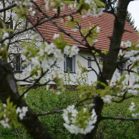Guest house Raliska